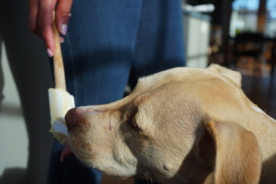 Edited Inca Licks Spoon