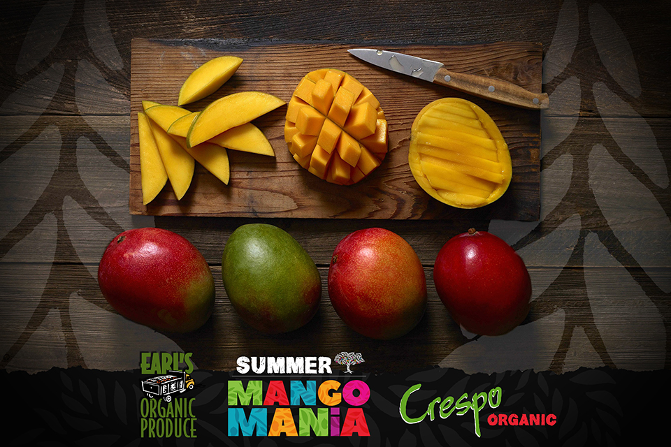 Mango Mania With Earls