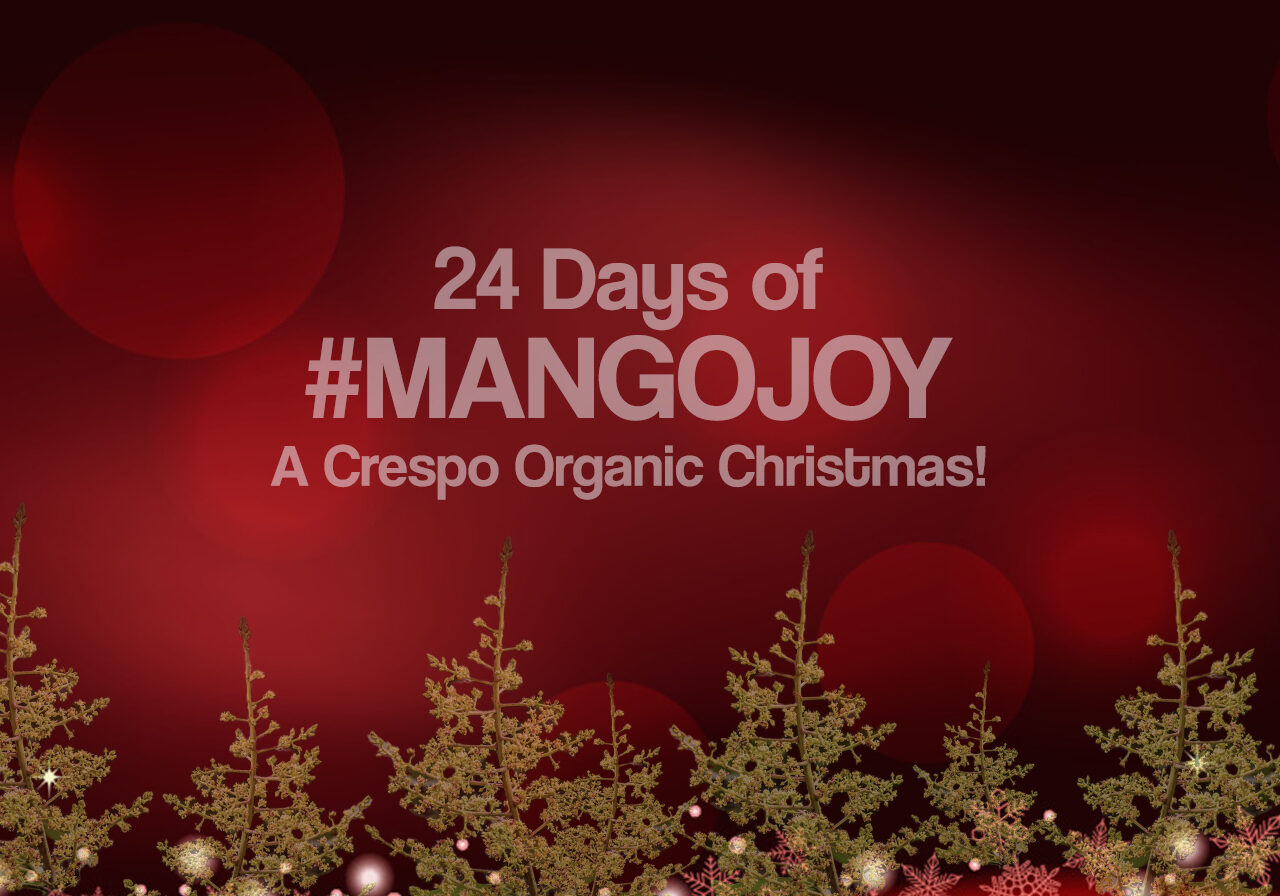 24 Days of Mango Joy