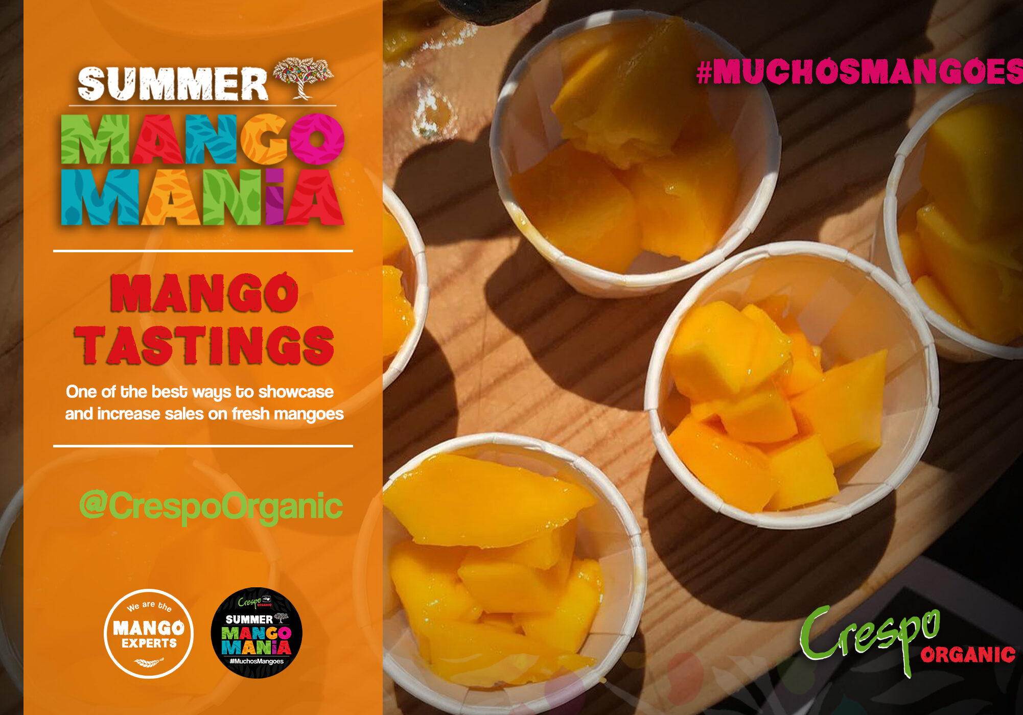 SMM Mango TAsting H